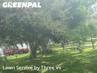 Yard Cutting nearby Brooksville, FL, 