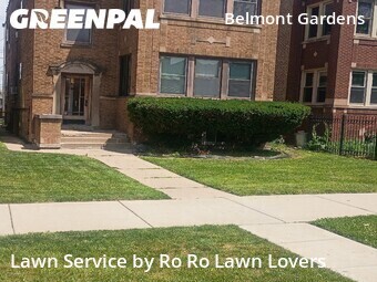 Lawn Mow nearby Chicago, IL, 