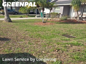 Lawn Cutting nearby Clearwater, FL, 
