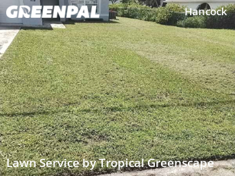 Lawn Service nearby Cape Coral, FL, 