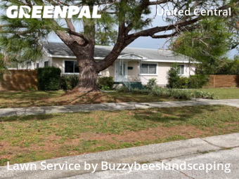 Lawn Mowin St Petersburg,33713,Lawn Maintenance by Buzzybeeslandscaping, work completed in Dec , 2025