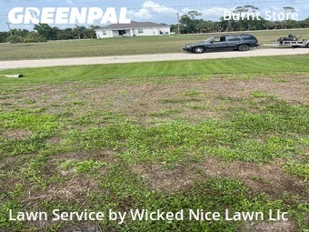 Grass Cutting nearby Cape Coral, FL, 