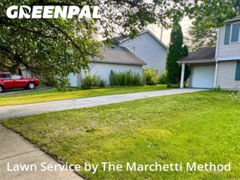 Grass Cutting nearby Aurora, IL, 