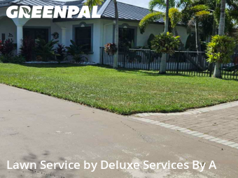 Lawn Cuttingin Fort Lauderdale,33312,Lawn Maintenance by Deluxe Services By A, work completed in Nov , 2025