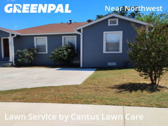 Grass Cut nearby San Antonio, TX, 