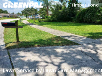 Lawn Mow nearby Brandon, FL, 