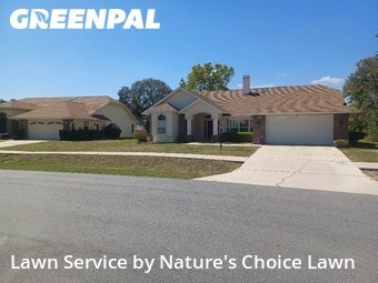 Work completed by professional-lawn-care-service-in-Beverly Hills-CA