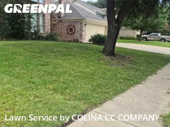 Lawn Mow nearby Flower Mound, TX, 