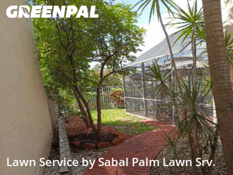 Lawn Mowing Servicein Plantation,33322,Lawn Maintenance by Sabal Palm Lawn Srv., work completed in Dec , 2025