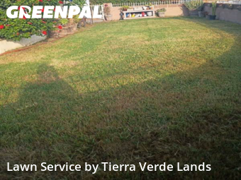 Work completed by grass-care-professionals-in-Downey-CA