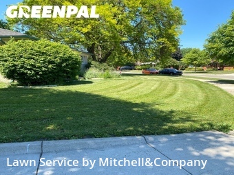 Yard Cutting nearby Warren, MI, 
