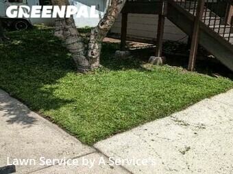 Grass Cut nearby Fort Collins, CO, 