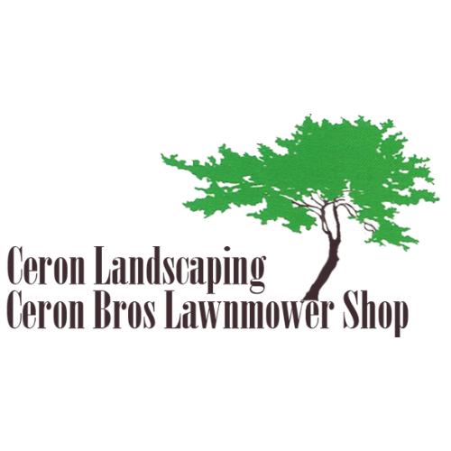 Cerón Bros Lawnmower