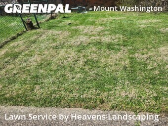 Lawn Care Service nearby Pittsburgh, PA, 