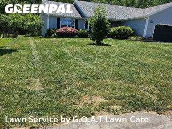 Yard Cutting nearby Blue Springs, MO, 