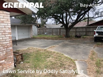 Yard Cutting nearby Corpus Christi, TX, 