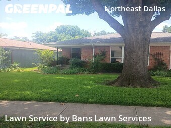 Yard Cutting nearby Dallas, TX, 