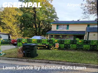 Grass Cut nearby Shreveport, LA, 