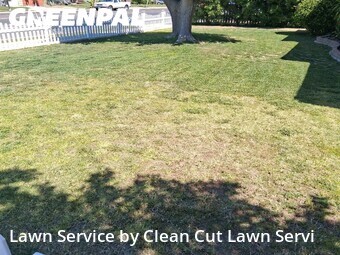 Lawn Care nearby Fresno, CA, 