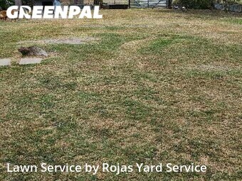 Yard Cutting nearby La Feria, TX, 