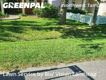 Grass Cut nearby Tampa, FL, 