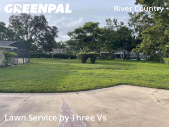 Yard Care in Spring Hill, 34607, Turf Services by Three Vs , work completed in Dec , 2025