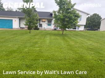 Mowing Services in Allendale, 49401, Backyard Mowing by Walt’s Lawn Care, work completed in Oct , 2025