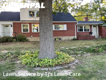 Grass Cut nearby Kirkwood, MO, 