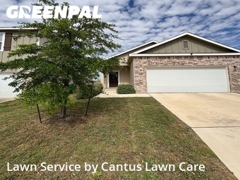 Grass Cutting nearby St Hedwig, TX, 