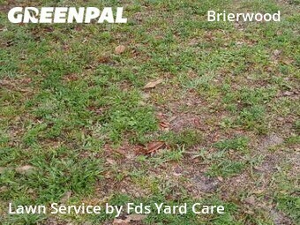Grass Cut nearby Jacksonville, FL, 