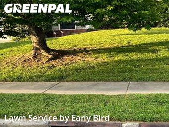 Lawn Cut nearby Matthews, NC, 