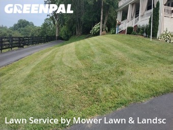 Yard Cutting nearby College Grove, TN, 