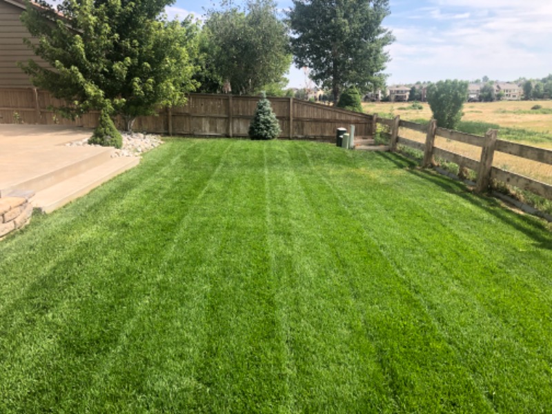 affordable-grass-cutting-businesses-in-Highlands Ranch-CO