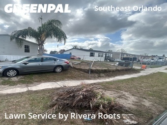 Yard Cutting nearby Orlando, FL, 