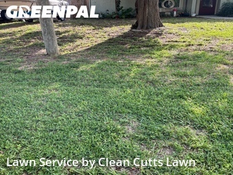 Yard Mowing nearby Ellenton, FL, 