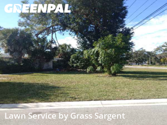 Yard Cuttingin Largo,33774,Lawn Mow by Grass Sargent, work completed in Dec , 2025