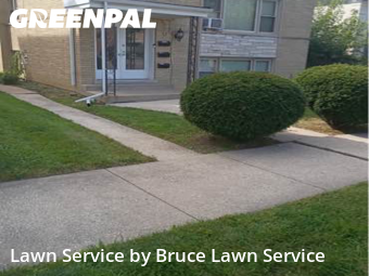 Yard Services in Westchester, 60154, Lawn Management by Bruce Lawn Service, work completed in Nov , 2025