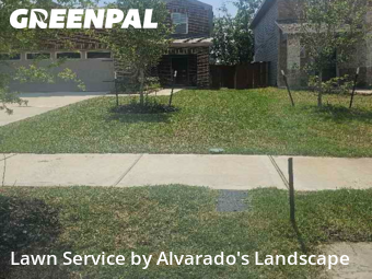 Grass Cutin Porter,77365,Lawn Care by Alvarado's Landscape, work completed in Nov , 2025