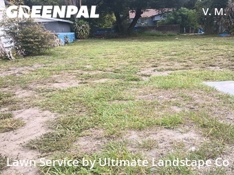 Lawn Care nearby Tampa, FL, 