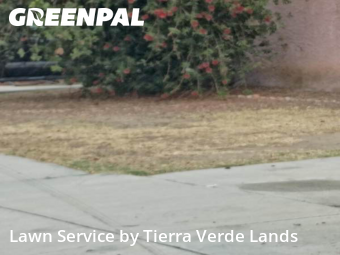 Work completed by lawn-care-experts-in-Carson-CA