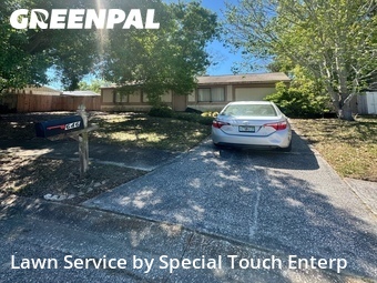 Lawn Cutting nearby Oldsmar, FL, 