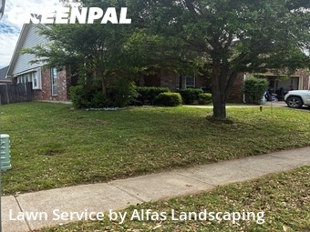 Lawn Maintenance nearby Lake Dallas, TX, 