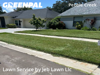 Lawn Mow nearby Tampa, FL, 