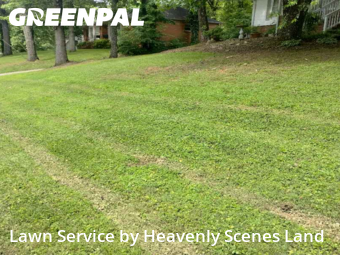 Grass Cut nearby Birmingham, AL, 
