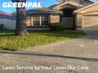 Grass Cutting nearby Clermont, FL, 