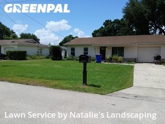 Lawn Cutting nearby Saint Cloud, FL, 