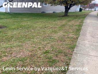 Yard Cutting nearby Bowie, MD, 