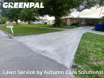 Lawn Mow nearby Tampa, FL, 