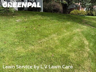 Lawn Cut nearby Fairfax , VA, 
