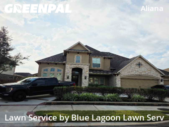 Yard Work in Richmond, 77407, Yard Upkeep by Blue Lagoon Lawn Serv, work completed in Dec , 2025
